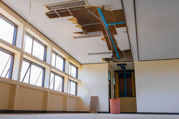 Best Carpet water damage restoration  in Pass Christian, MS