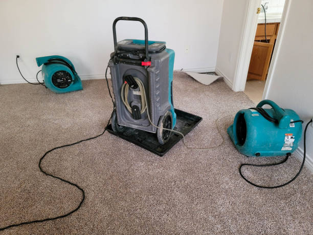 Best Commercial water damage restoration  in Pass Christian, MS