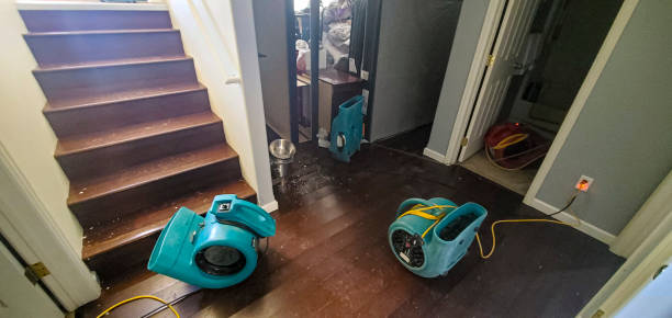 Best 24-hour water damage restoration  in Pass Christian, MS