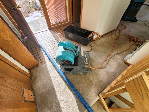 Carpet water damage restoration in MS