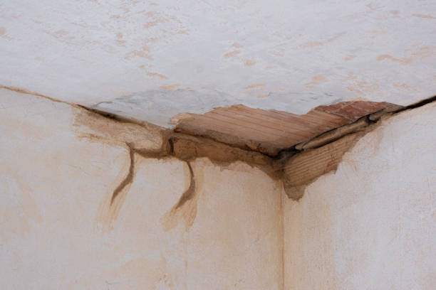 Best Professional water damage repair  in Pass Christian, MS