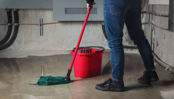 Best Sewage cleanup and water damage restoration  in Pass Christian, MS