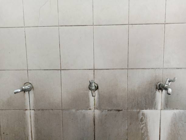 Best 24/7 water damage repair  in Pass Christian, MS